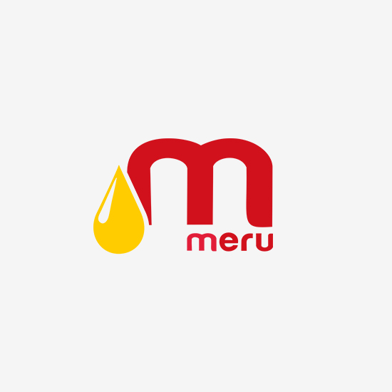 Mount Meru_544.jpg